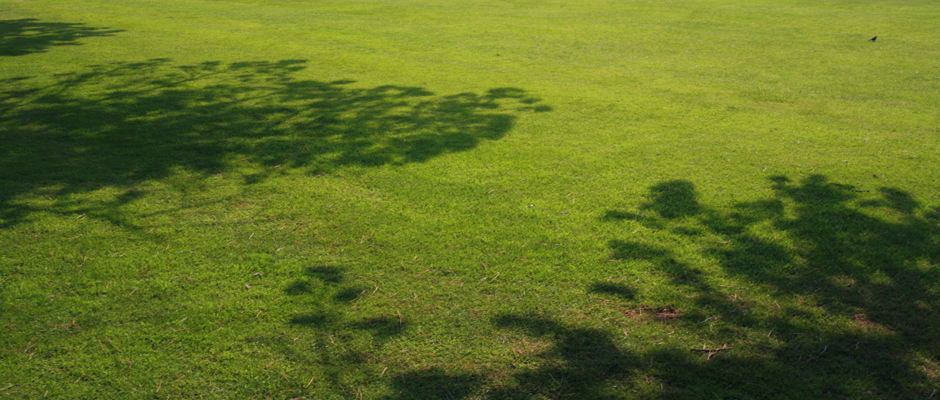 Servizio di giardinaggio